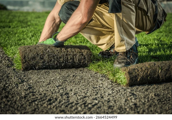 Césped y jardines Top Service